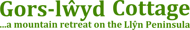 welsh break logo