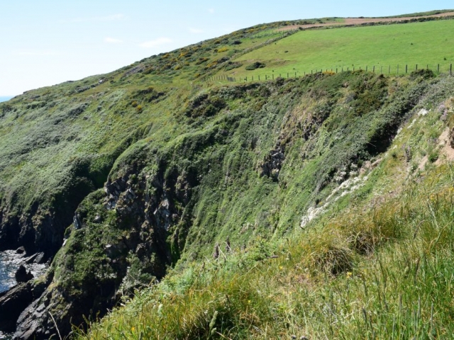 Wales Coast Path to Porth Ysgo Aberdaron Llŷn Peninsula