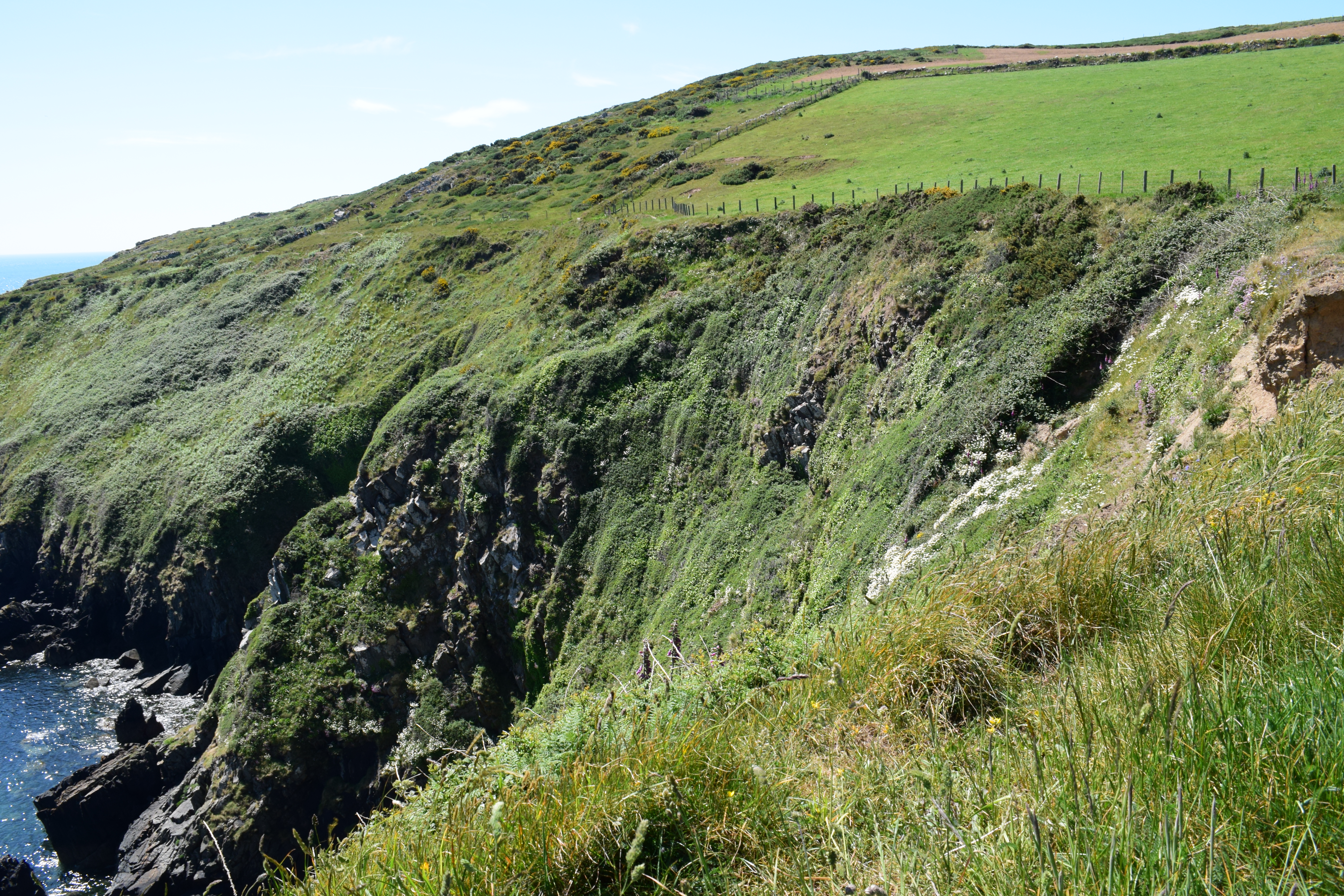 Wales Coast Path to Porth Ysgo Aberdaron Llŷn Peninsula