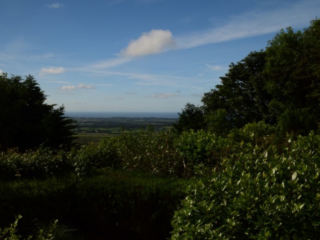 A view of the garden at Gors-lŵyd Cottage