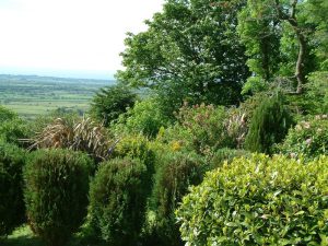 View of the garden in summer Gors-lwyd Cottage Llithfaen Llyn Peninsula North Wales