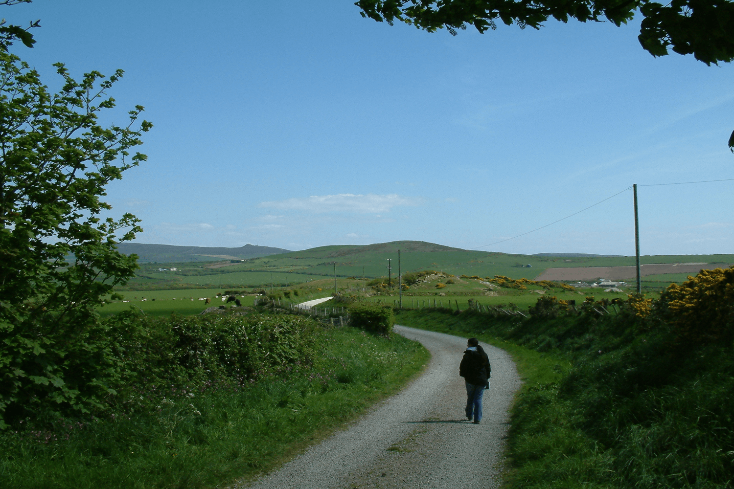 Country lanes at the start of the coastal walk porthor porth oer whistling sands