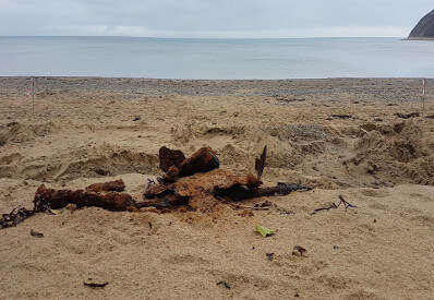 Image of debris revealed by Storm Emma on Llanbedrog Beach Llyn Peninsula